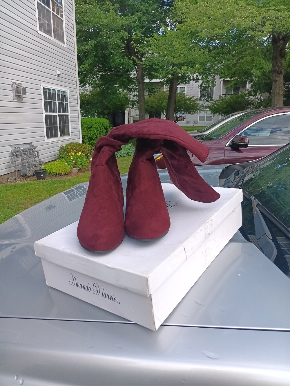 Amanda Dlaurie Burgundy Suede Womens  Boots